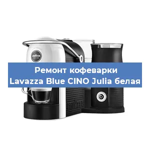 Замена счетчика воды (счетчика чашек, порций) на кофемашине Lavazza Blue CINO Julia белая в Нижнем Новгороде